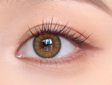 Spice(BROWN)
