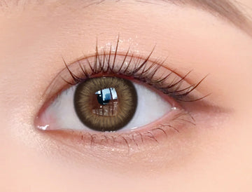 Obsession(BROWN)